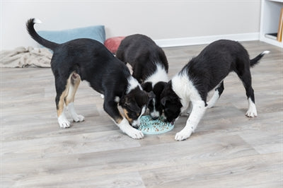 Trixie Junior Lick Plate Mint Green