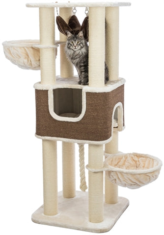 Trixie Arbre à Chat Xxl Humberto Crème/Marron Foncé 68x68x174 CM
