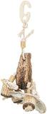Trixie Natural Toys Acajou/Coquillages 26 CM