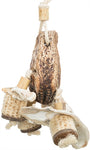 Trixie Natural Toys Acajou/Coquillages 26 CM