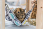 Trixie Shelter With Hammock Sunny Assorted / Grey