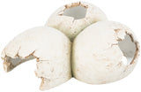 Trixie Reptile Hideout Eggs Polyester Resin White