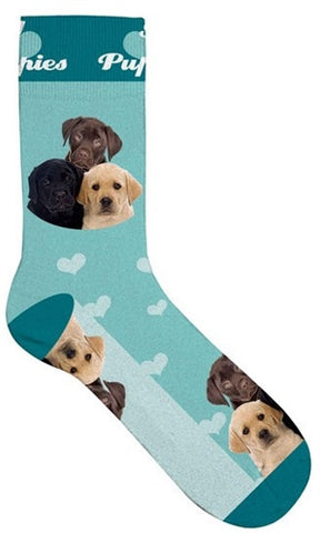 Plenty Gifts Socks Puppies Blue 39-44
