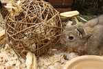 Nature First Happy Pet Toy Willow Nature First
