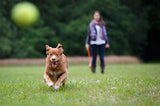 Happy Pet Fling N Fetch Throwing Stick Assorted 61X7X7 CM