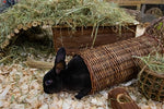 Tunnel de saule Happy Pet