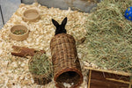 Tunnel de saule Happy Pet