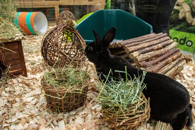 Nature First Happy Pet Willow Hay Rack 14X12X9 CM