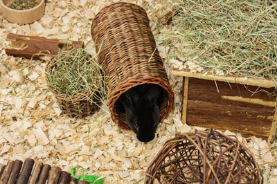Nature First Happy Pet Willow Hay Rack 14X12X9 CM