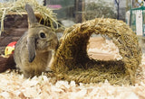 Tunnel herbeux Happy Pet 22X20X15 CM