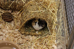 Tunnel herbeux Happy Pet 22X20X15 CM