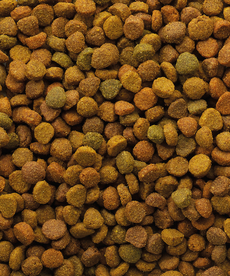 Classique - Nourriture sèche pour chat - 10kg