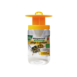 BSI - Wasp trap