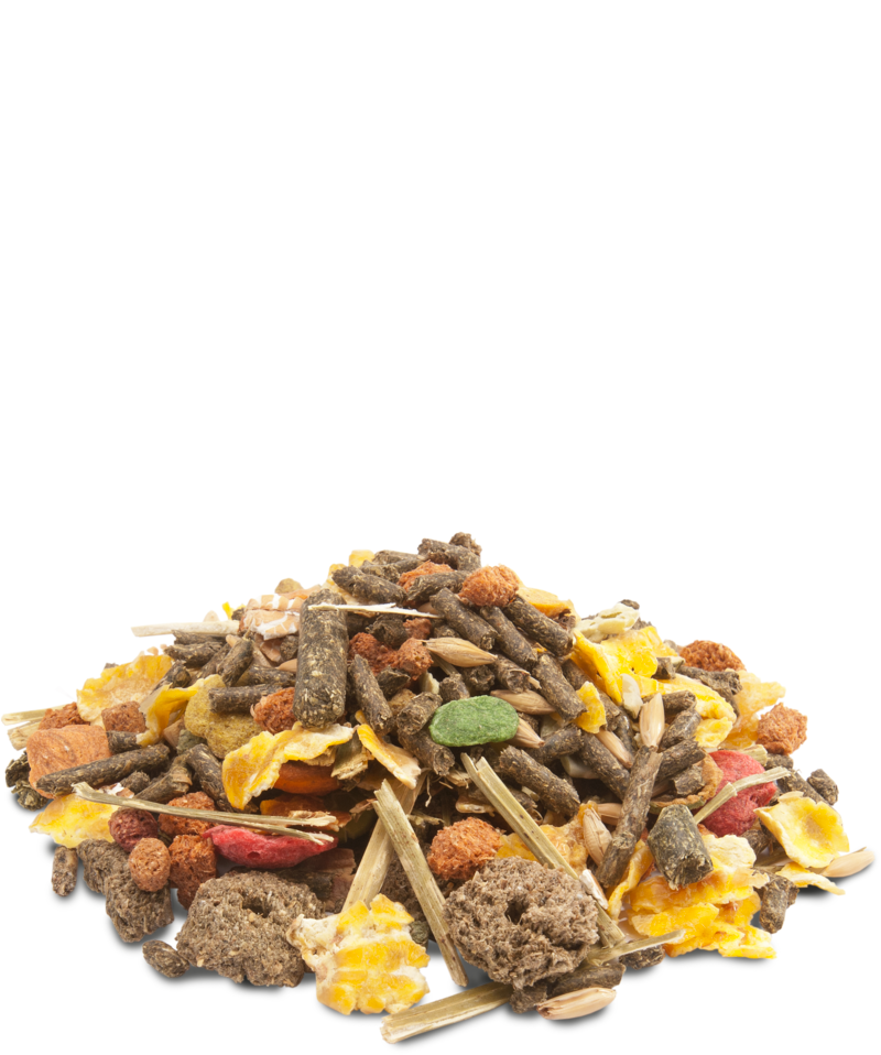Cochon d'Inde croustillant au muesli
