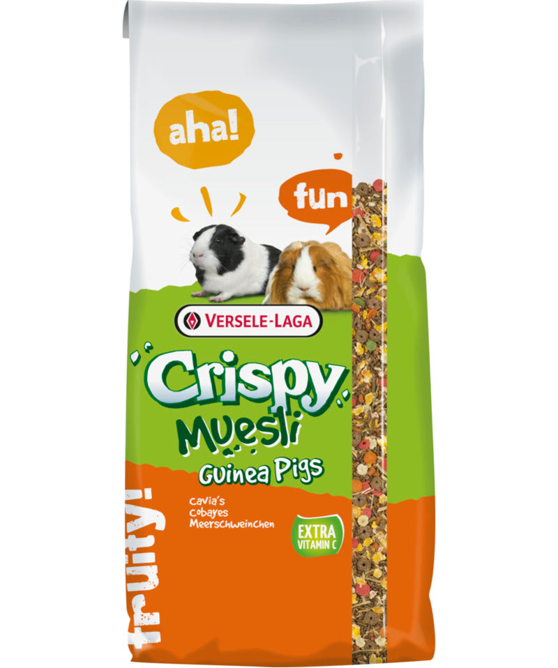Crispy muesli guinea pig