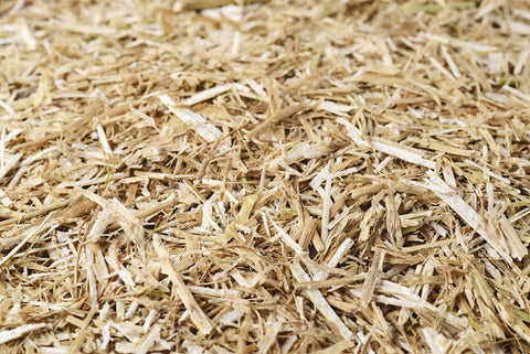 Chopped Rapeseed Straw - 20kg