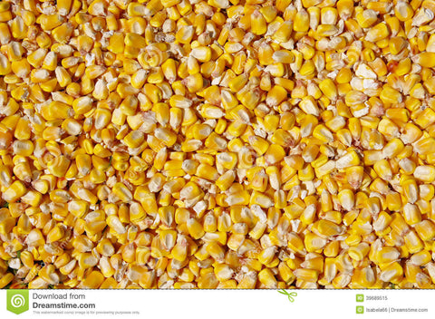 Corn - 20 kg
